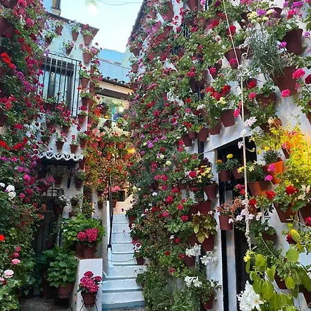 Atico Casa Lola * Córdoba