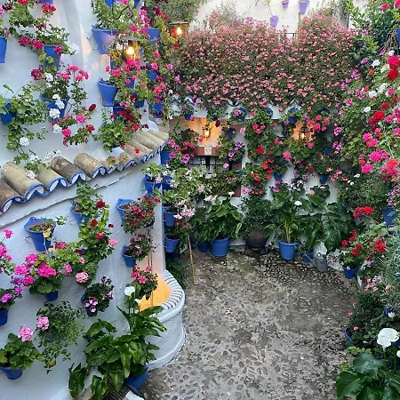 Apartmán Atico Casa Lola